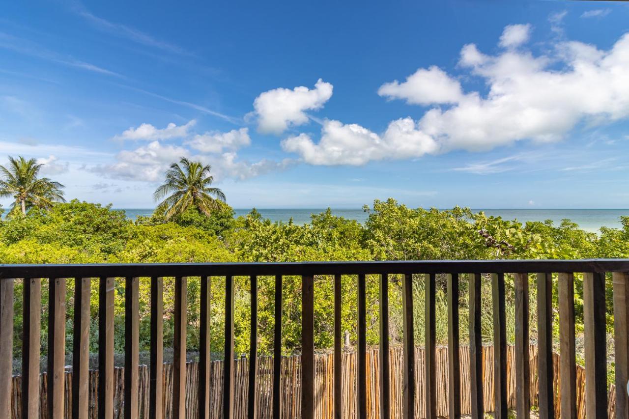 Ocean View Loft In Punta Cocos - D102 Hotel Isla Holbox Ngoại thất bức ảnh